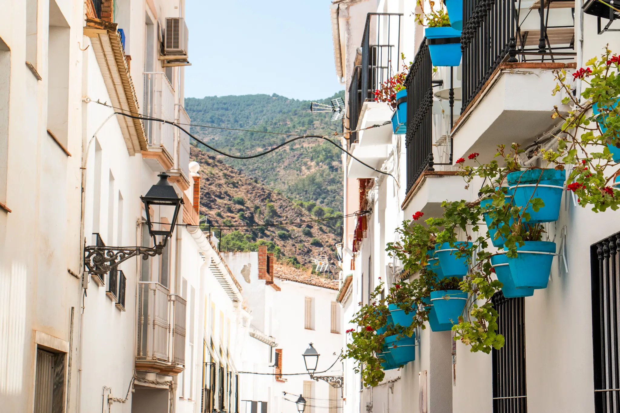 Galería-Calle empedrada y pintoresca en el pueblo de Tolox, con fachadas blancas y flores, representando el encanto rural andaluz en la Sierra de las Nieves