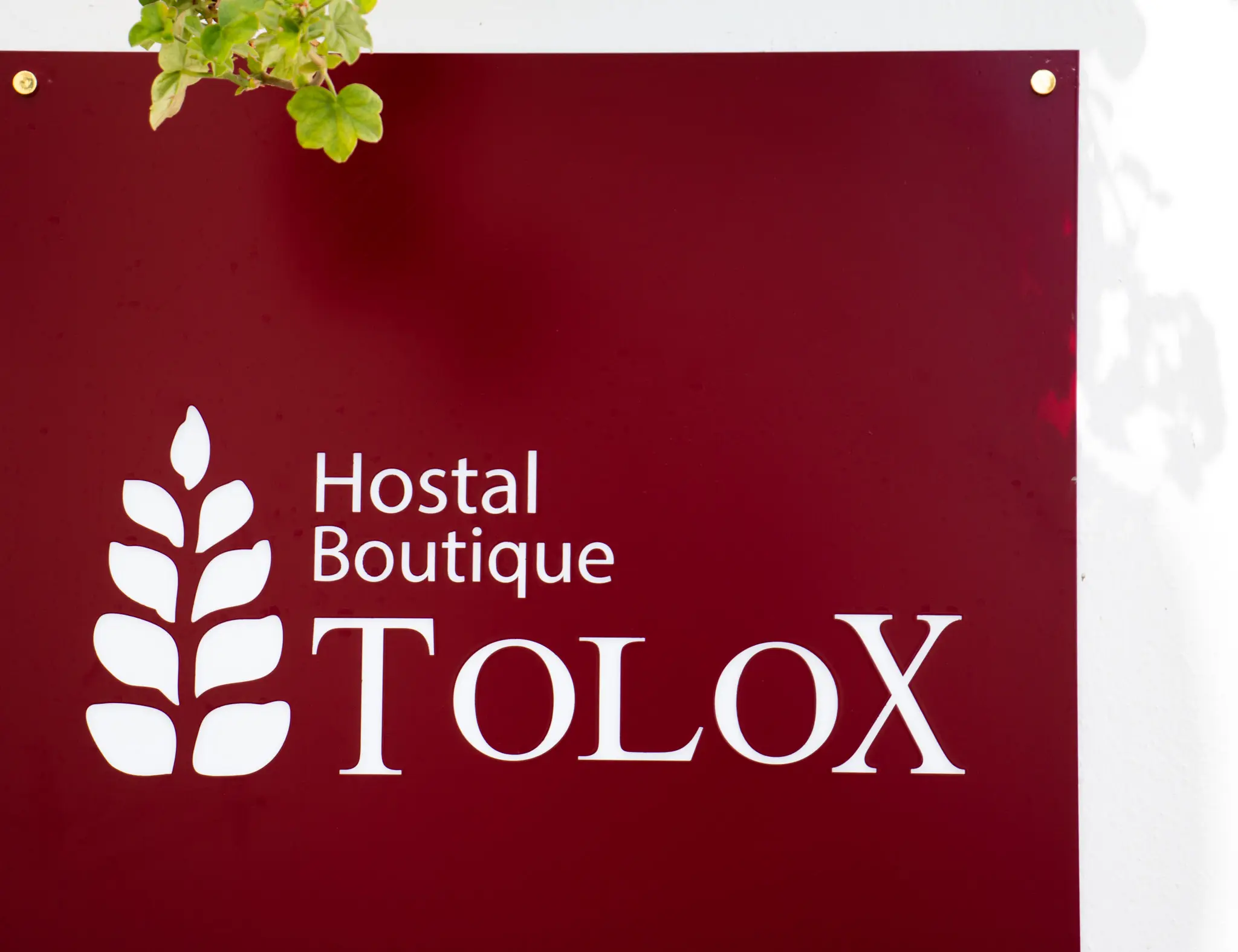 Fachada principal del Hostal Tolox, edificio blanco de estilo andaluz situado en el corazón de la Sierra de las Nieves