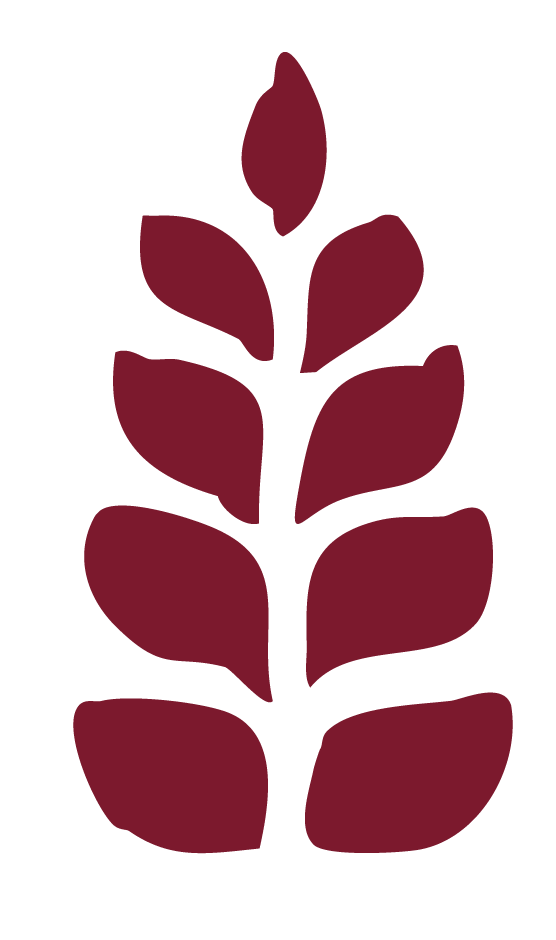 Isotipo oficial del Hostal Tolox, símbolo gráfico representativo de su identidad visual en la Sierra de las Nieves